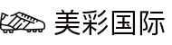 美彩国际·(中国区) - 官网